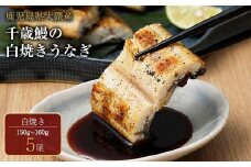 鹿児島県大隅産　千歳鰻の白焼き鰻　5尾