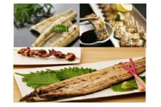 鹿児島県大隅産　千歳鰻の白焼鰻　1kg　（7尾入り）