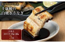 鹿児島県大隅産　千歳鰻の白焼鰻「大」3尾