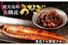 千歳鰻の蒲焼１尾・蒲焼のタレ・焼肝セット