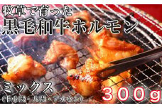 牧草で育った黒毛和牛ホルモンミックス