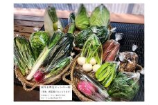西洋野菜と季節の鹿児島野菜セット（2～3人ご家族用）