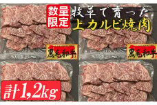 牧草で育った黒毛和牛　上カルビ焼肉１．２ｋｇセット（３00ｇ×4袋）（数量限定）