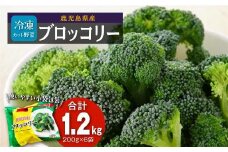 鹿児島県産 冷凍ブロッコリー 200g × 6パック 国産 ブロッコリー 冷凍 ふるさと納税 鹿児島県 大崎町