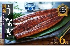 数量限定 鹿児島県産うなぎ長蒲焼6尾 約100g×6尾 鰻 国産うなぎ蒲焼き たれ うな重 ひつまぶし ウナギ 蒲焼 人気 おすすめ 鹿児島県 大崎町 A920