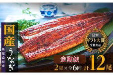 定期便 国産 おおさきうなぎ鹿児島県産うなぎ長蒲焼2尾 定期 全6回 合計12尾 うなぎ 鰻 ウナギ unagi 国産 蒲焼 長蒲焼 鹿児島県産 うな重 うな丼 ひつまぶし にも 人気 おおすみうなぎ おすすめ 鹿児島県 大崎町 [A665]
