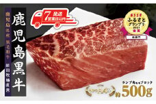 【7営業日以内発送】《前田牧場直営》鹿児島黒牛～ランプ肉（モモ）ブロック（約500g）～