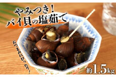 やみつき　バイ貝の塩茹で　1.5kg