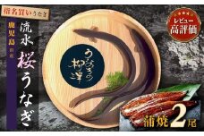 うなぎの柳澤 うなぎ蒲焼2尾 計340g 鰻 国産うなぎ蒲焼き うな重 ひつまぶし ウナギ 蒲焼 人気 おすすめ 鹿児島県 大崎町