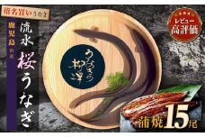 うなぎの柳澤 うなぎ蒲焼15尾 計2.55kg 鰻 国産うなぎ蒲焼き うな重 ひつまぶし ウナギ 蒲焼 人気 おすすめ 鹿児島県 大崎町