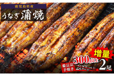 鹿児島県大隅産 うなぎ備長炭手焼蒲焼２尾(合計300g以上）