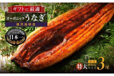 泰正オーガニックうなぎ蒲焼　特大3尾
