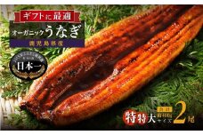 【数量限定】泰正オーガニックうなぎ蒲焼　特特大2尾合計400g以上