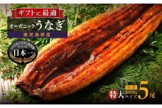 泰正オーガニックうなぎ蒲焼　特大5尾