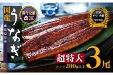 鹿児島県産 長蒲焼 特大3尾 200g以上 × 3尾 鰻 国産うなぎ蒲焼き うな重 ひつまぶし ウナギ 蒲焼 人気 おすすめ  ふるさと納税 鹿児島県 大崎町 A932