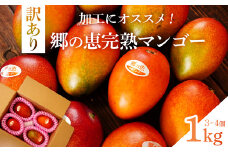 【訳あり】1kg 大崎完熟マンゴー「郷の恵（さとのめぐみ）」加工用マンゴー（糖度10度前後）