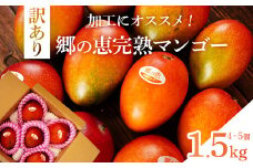 【訳あり】 1.5kg 大崎完熟マンゴー「郷の恵（さとのめぐみ）」加工用マンゴー（糖度10度前後）