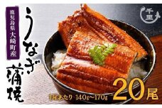 【大容量】鹿児島県産うなぎ　蒲焼き20尾