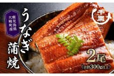 鹿児島県産うなぎ　蒲焼き2尾　300g以上