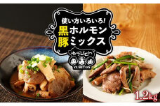 鹿児島県産黒豚「優美豚」黒豚ホルモンミックス　1.2kg（300ｇ×4個）