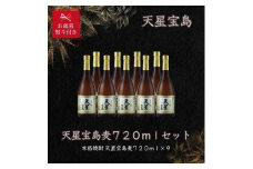 【お歳暮】天星宝島麦７２０ｍｌ×９本セット