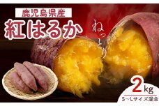 【先行予約】紅蜜芋　紅はるか　2kg