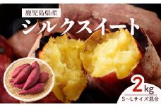 【先行予約】しっとり食感！シルクスイート　2kg