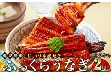 うなぎ 蒲焼 170g×2尾【鹿児島産】地下水で育てた絶品鰻