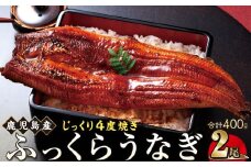 うなぎ 蒲焼 200g×2尾【鹿児島産】地下水で育てた絶品鰻