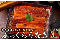 うなぎ 蒲焼 170g×3尾【鹿児島産】地下水で育てた絶品鰻