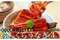 うなぎ 蒲焼 200g×3尾【鹿児島産】地下水で育てた絶品鰻