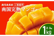 【2025年発送】【ご家庭用】結いの町　南国完熟マンゴー（1ｋｇ）