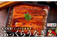 【3回定期】うなぎ 蒲焼 170g×2尾【鹿児島産】地下水で育てた絶品鰻