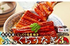 【6回定期】うなぎ 蒲焼 170g×3尾【鹿児島産】地下水で育てた絶品鰻