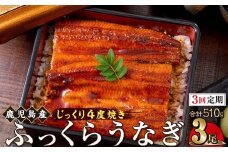 【3回定期】うなぎ 蒲焼 170g×3尾【鹿児島産】地下水で育てた絶品鰻