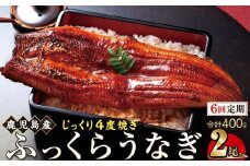 【6回定期】うなぎ 蒲焼 200g×2尾【鹿児島産】地下水で育てた絶品鰻