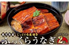 うなぎ 蒲焼 160g×2尾【鹿児島産】地下水で育てた絶品鰻