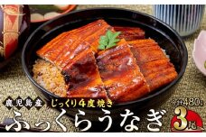 うなぎ 蒲焼 160g×3尾【鹿児島産】地下水で育てた絶品鰻