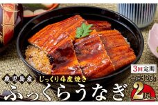 【3回定期】うなぎ 蒲焼 160g×2尾【鹿児島産】地下水で育てた絶品鰻