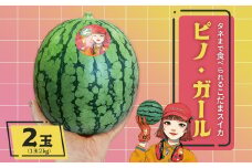 【先行予約】こだまスイカ「ピノ・ガール」2玉（約2kg×2玉）