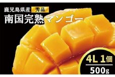 【2025年発送】結いの町　南国完熟マンゴー（秀品大玉 4Lサイズ）500g