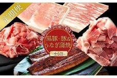 【定期便全6回】うなぎ蒲焼・黒豚・豚コース　～豊かな自然が宝物　みんなで紡ぐ定期便～