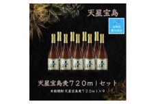 【お中元】天星宝島麦７２０ｍｌ×９本セット
