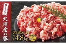 九州産　豚切り落とし　4.8kg