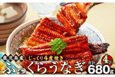 うなぎ 蒲焼 170g×4尾【鹿児島産】地下水で育てた絶品鰻