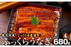 うなぎ 蒲焼 170g×4尾【鹿児島産】地下水で育てた絶品鰻