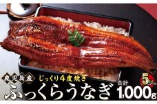 うなぎ 蒲焼 200g×5尾【鹿児島産】地下水で育てた絶品鰻