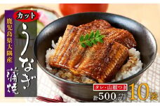 鹿児島県産うなぎカット蒲焼10袋　計500g以上（パック個包装）