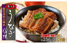 鹿児島県産うなぎカット蒲焼5袋　計250g以上（パック個包装）