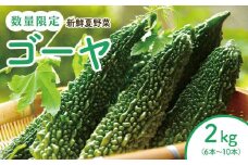 【先行予約】結いの街　新鮮夏野菜野菜！ゴーヤ